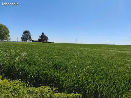 terrain 1 276 m² les thilliers en vexin