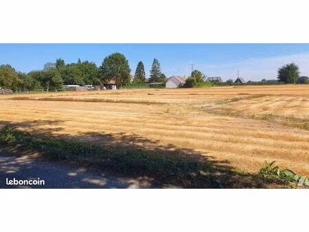 terrain 1000 m² fourmetot