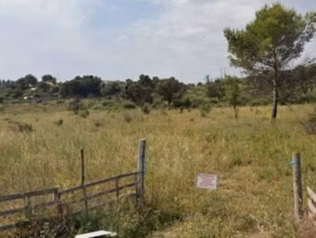 terrain 6000m2