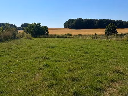 terrain constructible