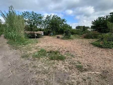 terrain agricol