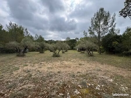 terrain loisirs avec oliviers et chênes