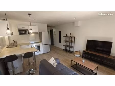magnifique t2 rénové entièrement de 45m2