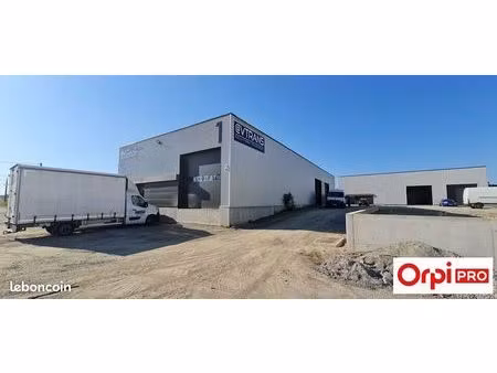 local d'activité 487 m²