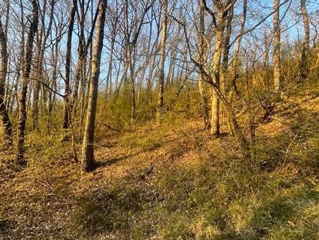 bois / friche de 6 80 hectares avec source naturelle