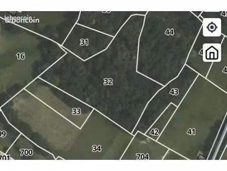 bois terrain