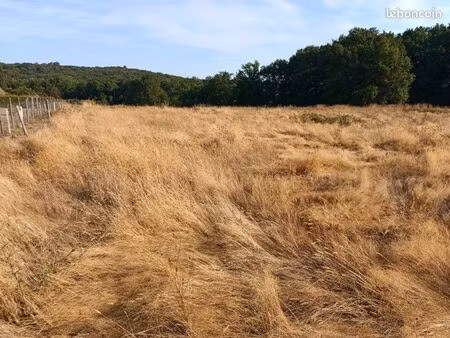 prêt prairie chevaux  ovins ou foin