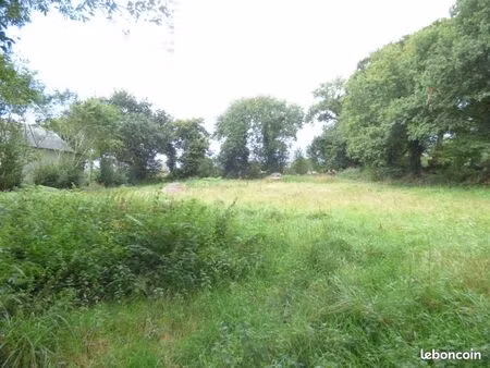 opportunité rare au taillan-médoc : grand terrain de 3 300 m² proche nature