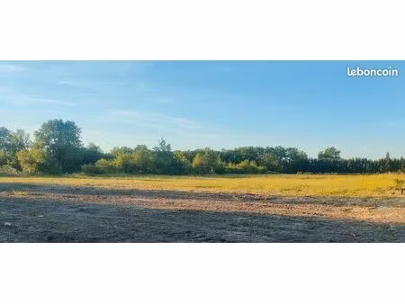terrain constructible revel