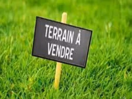 terrain constructible