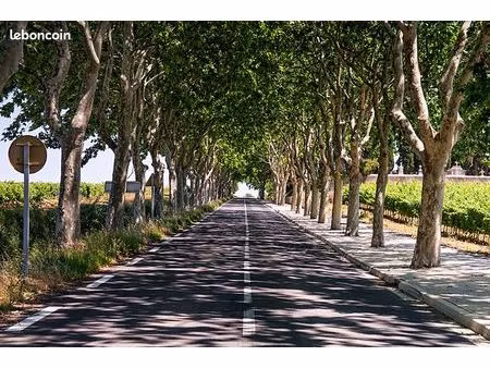 terrain 382 m² florensac