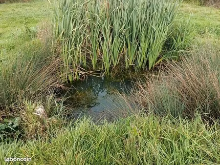 terrain à bâtir avec source permanente et verger
