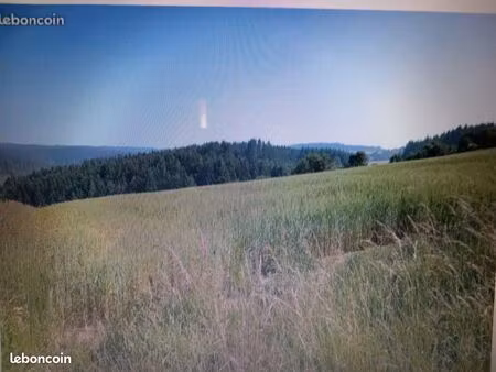 terrain 1000 m2 environ