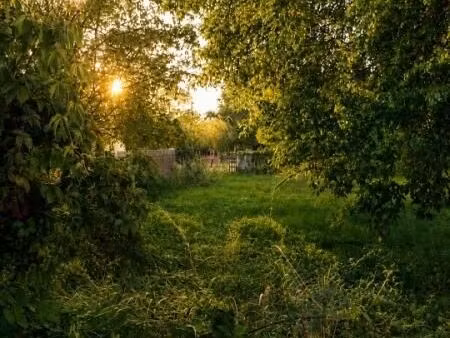 terrain 488 m² lanton