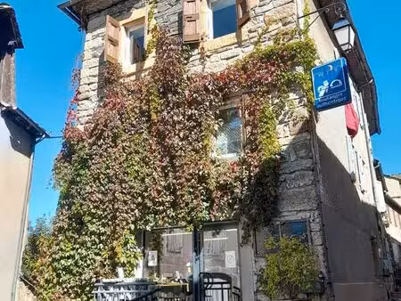 vends gîte lozère