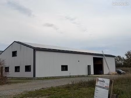 local professionnel 200 m2+ 30 m2 bureau