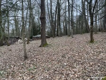 terrain constructible d'environ 11 000 m² avec maison et hangar – secteur toul