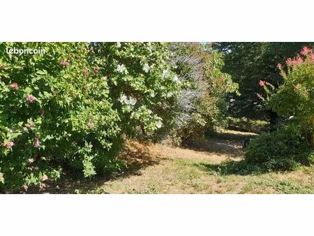grand terrain d'agrément