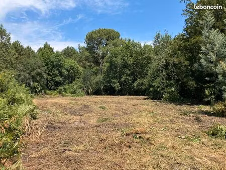 grand terrain niveau pessac gazinet avec permis