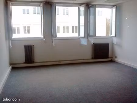 local professionnel bureau 40 m2