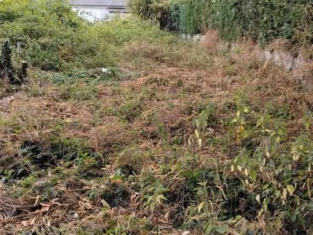 terrain constructible