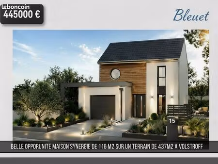 terrain +maison