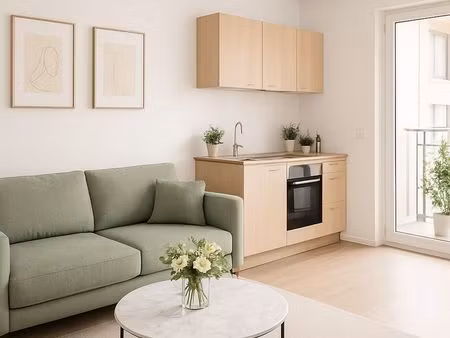 studio 1 pièce 19 m²