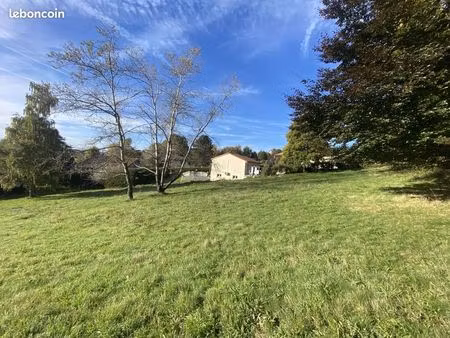 terrain à bâtir de 1650 m² à saint-didier-en-velay (43)
