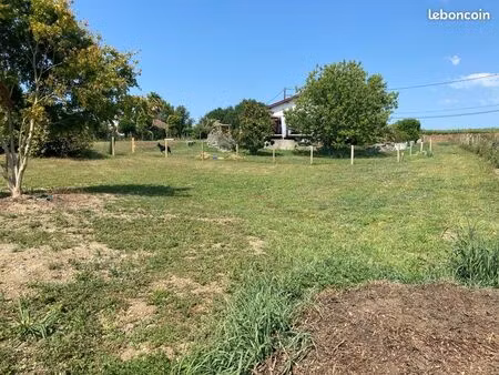 vente terrain constructible