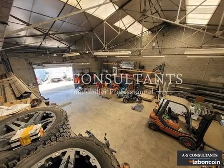 local d'activite 350 m² domarin