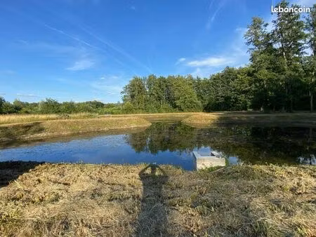 lot de 3 étangs
