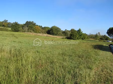 vente terrain 6038 m² à baliracq-maumusson (64330)  53 500 €