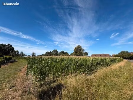 terrain 9 020 m² sens sur seille