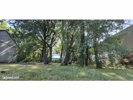 local 216 m² auray