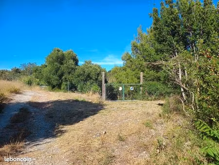 terrain de loisirs arboré avec puits