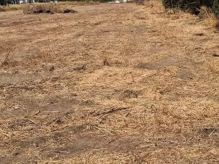 terrain agricole