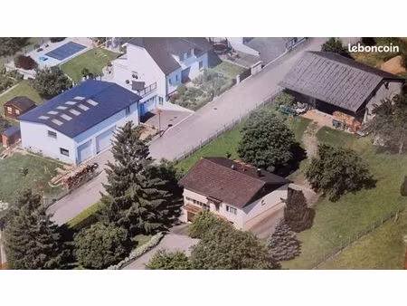 maison sur grand terrain avec hangar à fort potentiel sur hagenthal-le-bas
