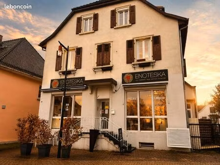 à vendre – murs commerciaux 102 m² – bartenheim (68)