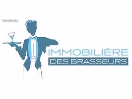 murs commerciaux rentabilité 7% strasbourg montagne verte