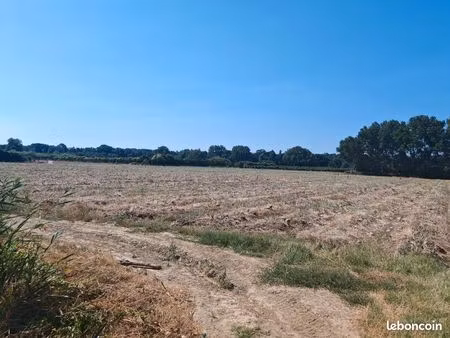 terrain agricole