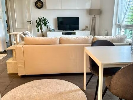 location appartement 3p mittelhausbergen