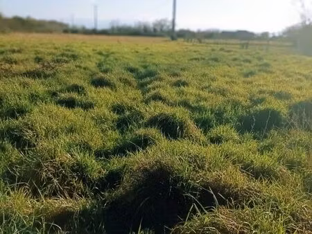 terrain à vendre sur la commune de sarriac de bigorre