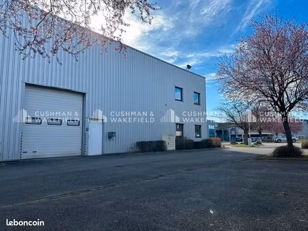 local 1 650 m²