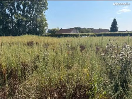 terrain 1 000 m² barentin
