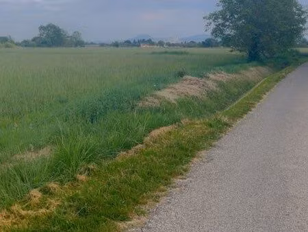vente d’un terrain agricole avec for potentiel