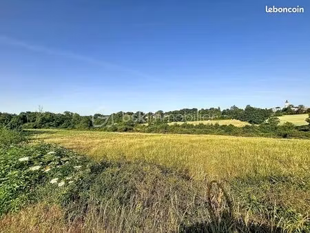 terrain agricole 36 469 m² faye l abbesse