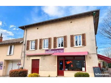 01990 chaneins- fond de commerce - restaurant bar - terrasse - environnement calme