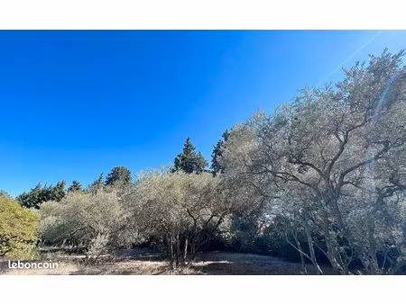 terrain 636 m² jonquerettes