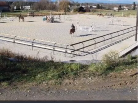 cherche terrain pour chevaux