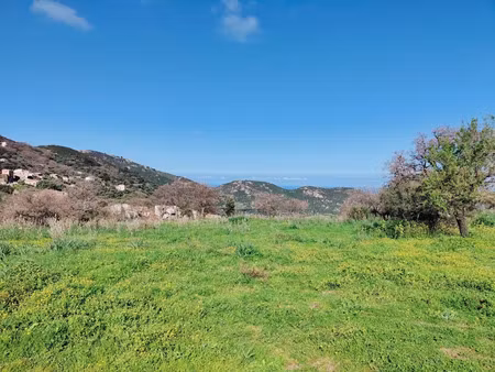 vente terrain 2247 m² à lavatoggio (20225)  409 500 €